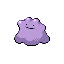 Ditto