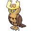 Noctowl