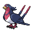 Swellow