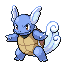 Wartortle